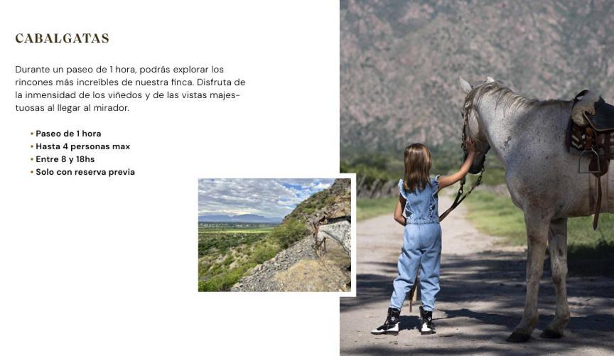 Finca El Recreo Cafayate Kültér fotó