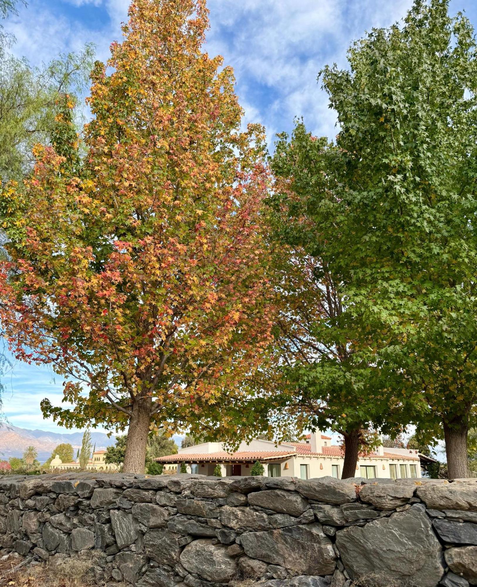 Finca El Recreo Cafayate Kültér fotó